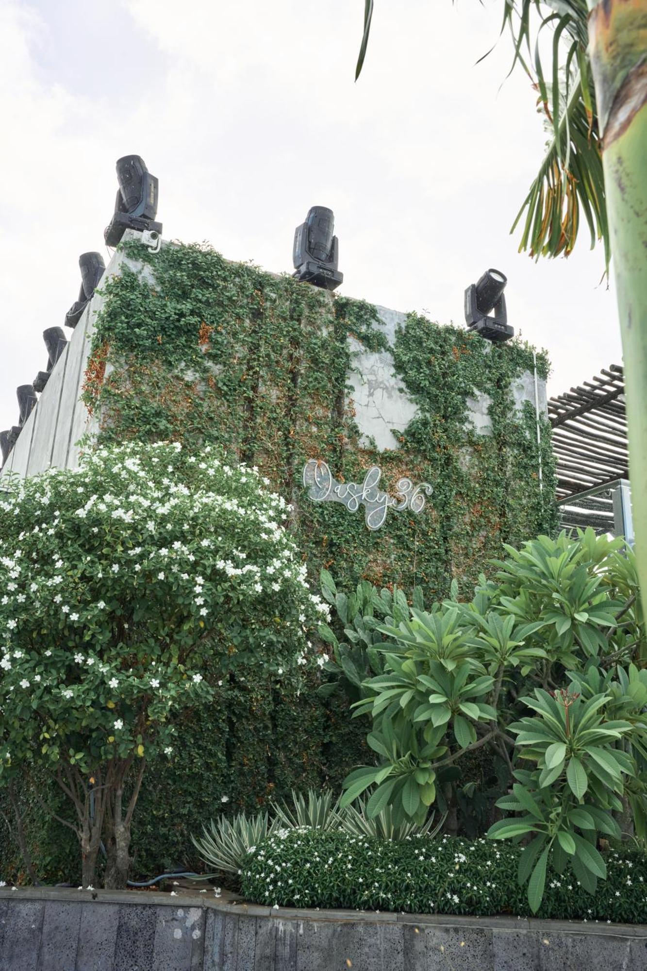 Pooh House 2 - Oasky 3 Bedrooms Apartment Vũng Tàu Exterior foto